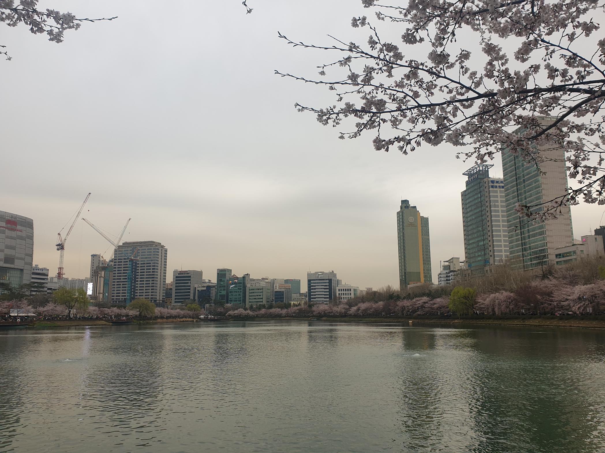 lotte world tower (13) - Lotte World Tower