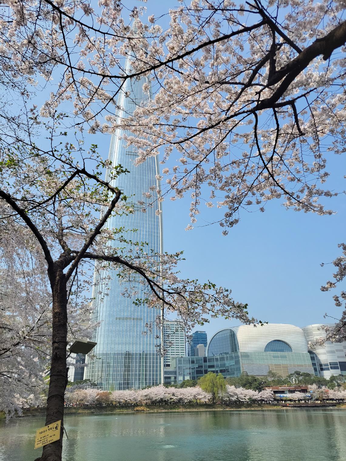 Lotte World Tower: How